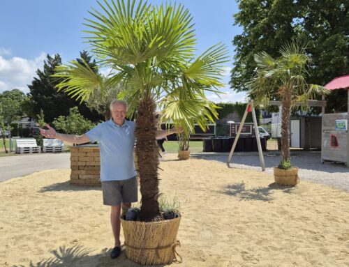 Wir wünschen einen schönen Sommer🌞